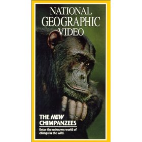 New Chimpanzees_